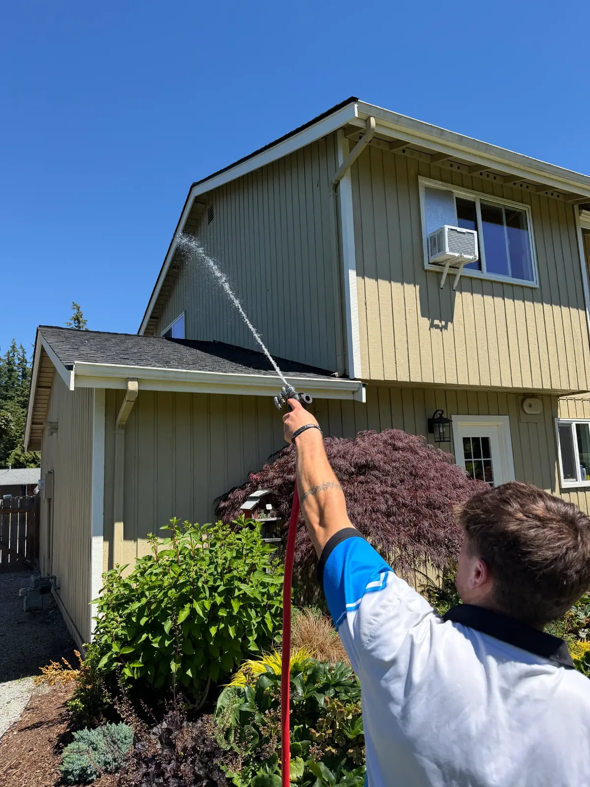 Clean roof results