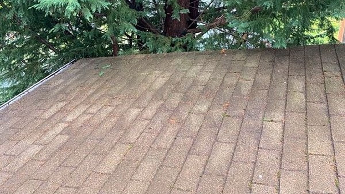 Clean roof after treatment