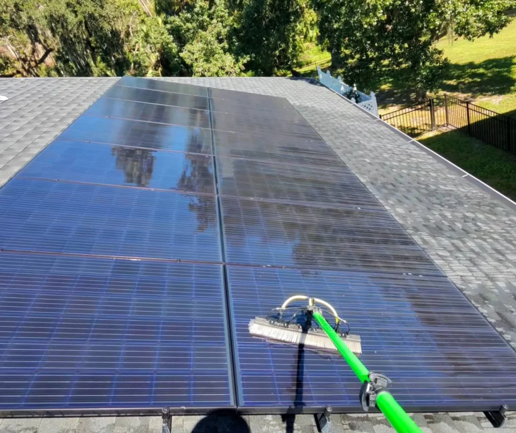 Pristine shingles after moss removal