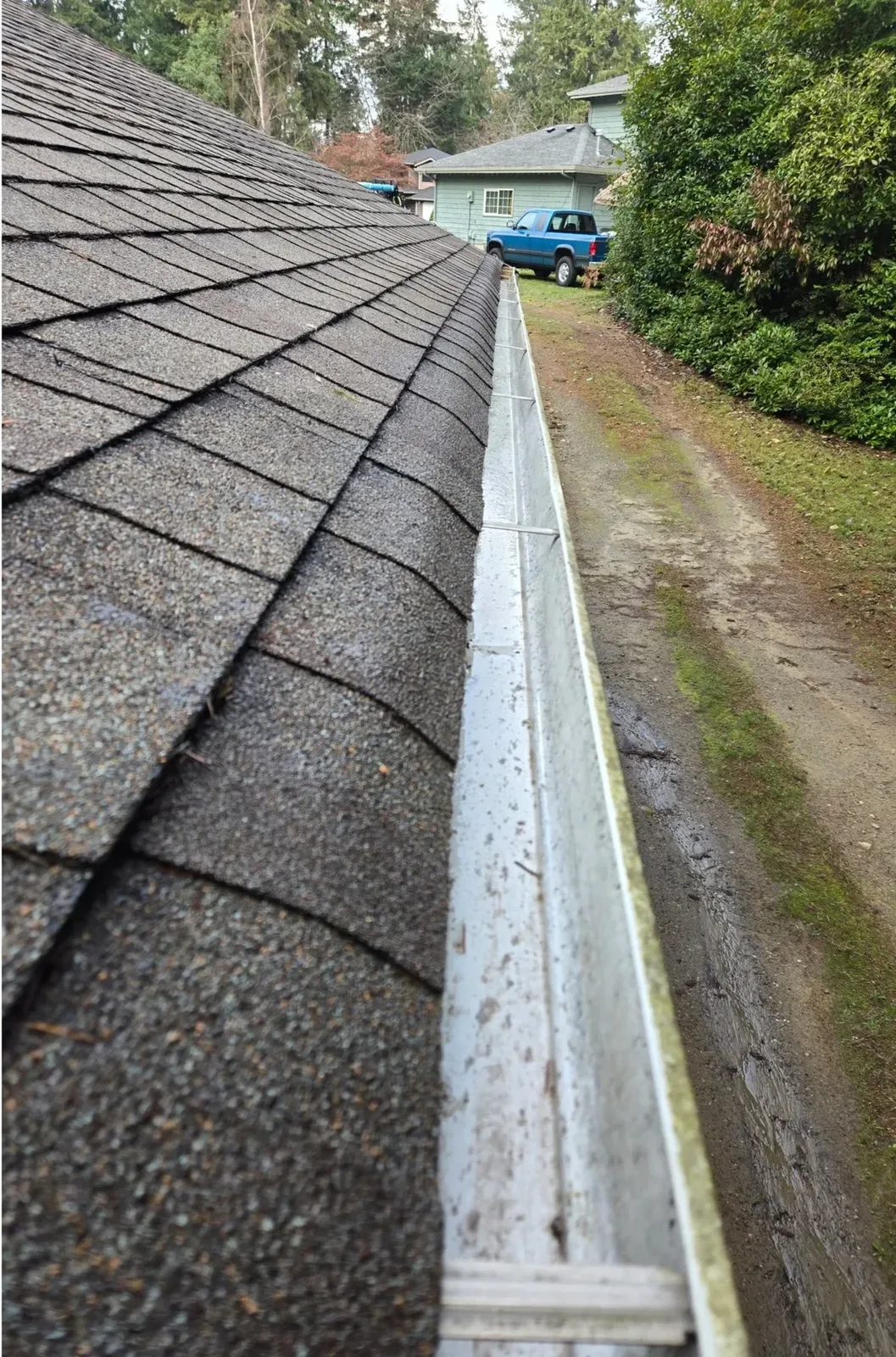 Spotless roof after professional soft-wash