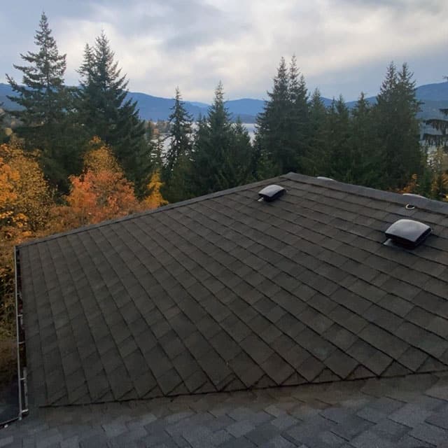 Roof cleaning before and after