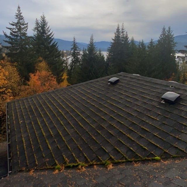 Mossy roof before cleaning - real job