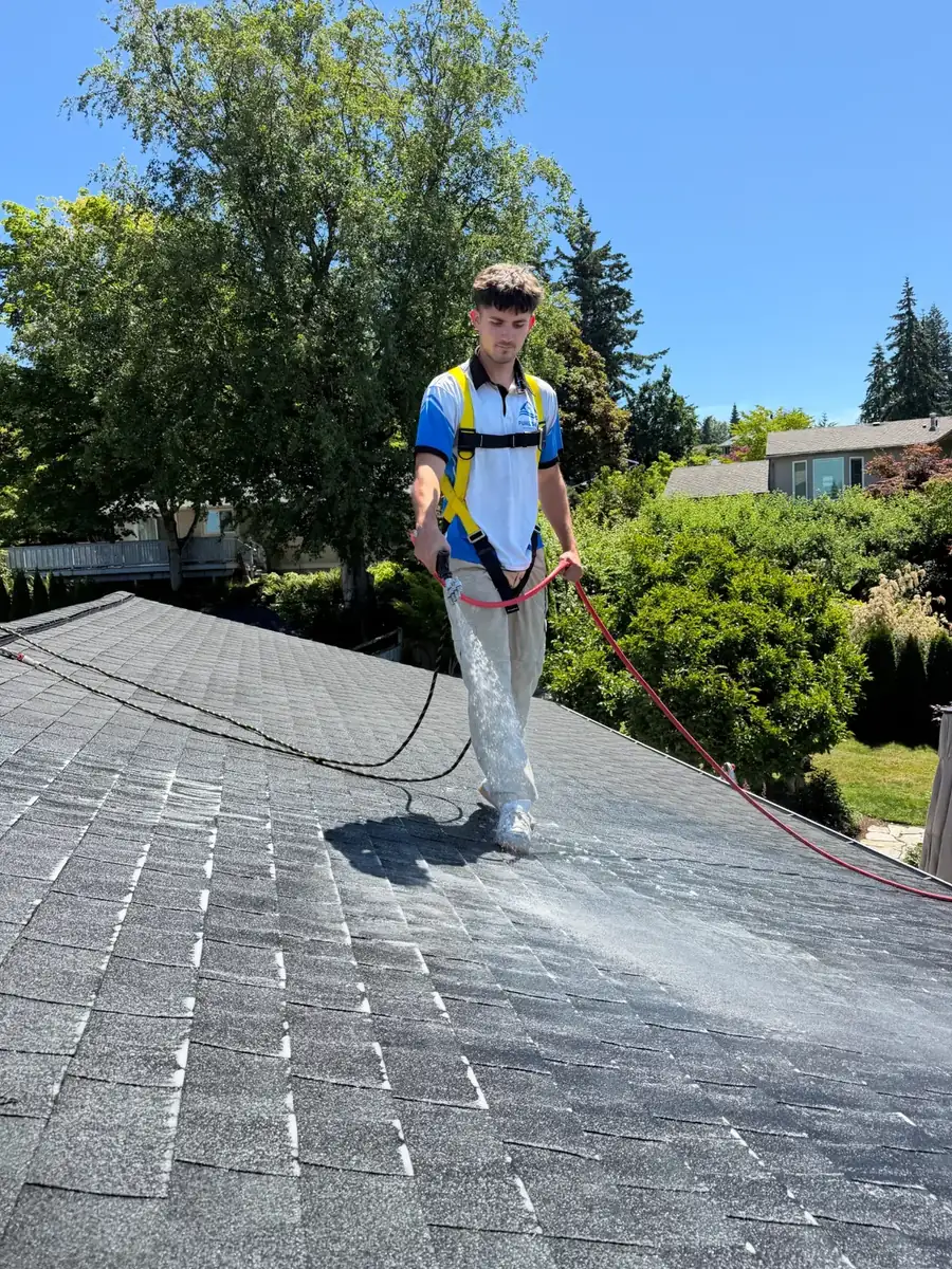 Pure Shine technician soft-washing a roof